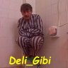 deli_gibi